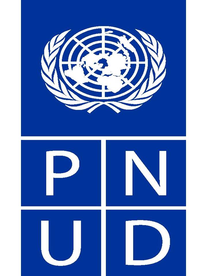Logo-PNUD